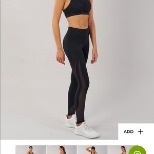gym shark legging!